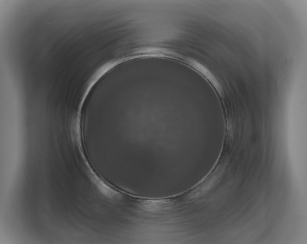X0000112531482200908241457