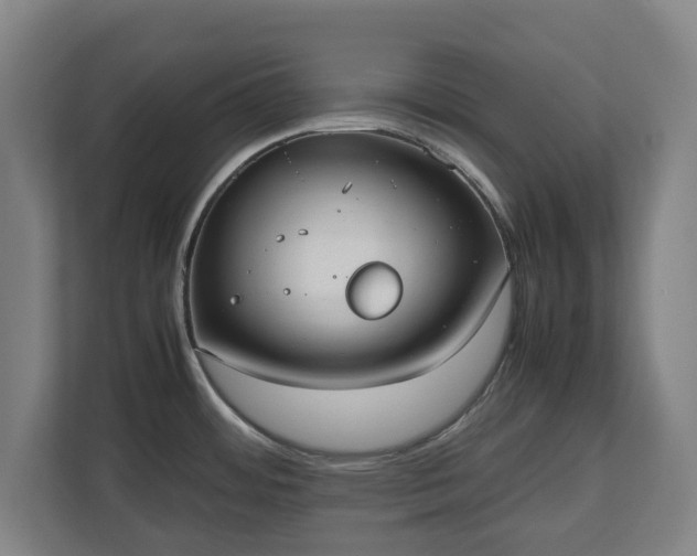 X0000112531484200908241457