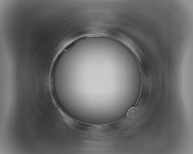 X0000112531485200908241457