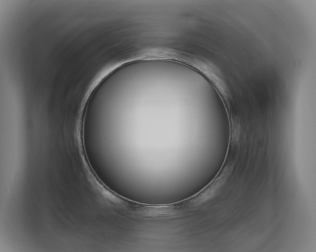 X0000112531486200908241457