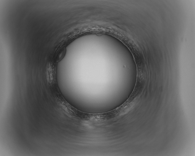 X0000112531490200908241456