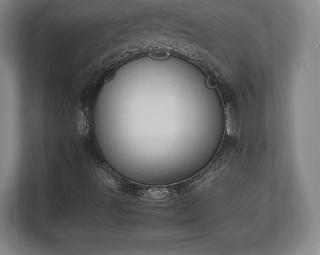 X0000112531491200908241456