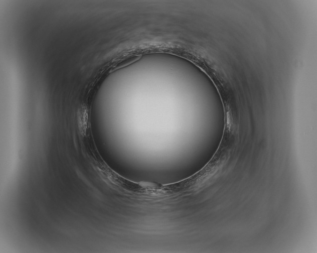 X0000112531492200908241456