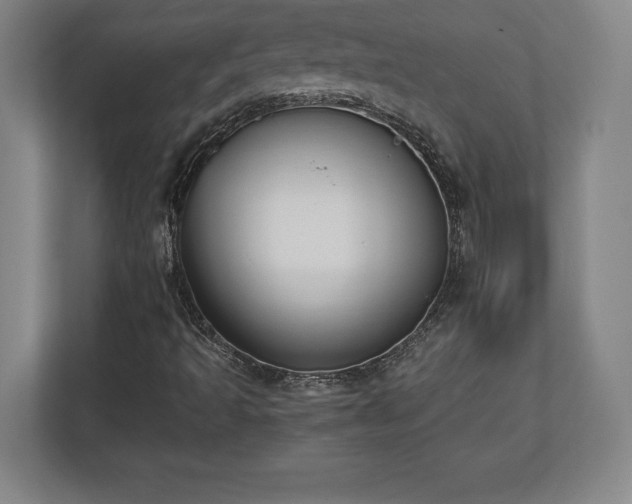 X0000112531493200908241456