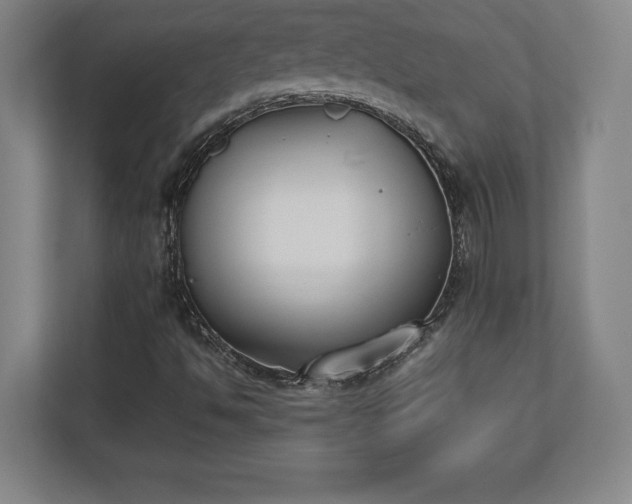 X0000112531494200908241456