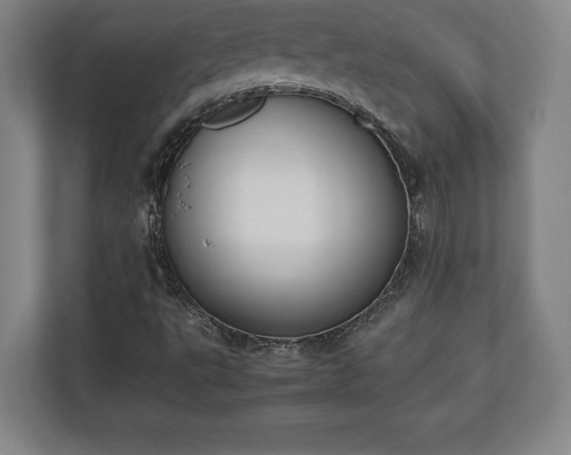 X0000112531495200908241456