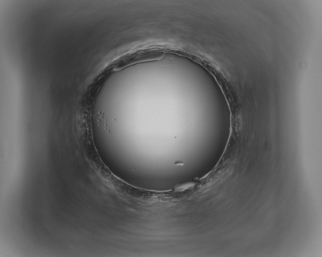 X0000112531496200908241456