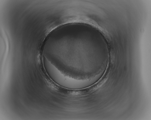 X0000112531497200908241456