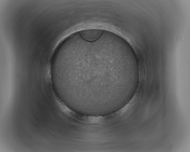 X0000112531498200908241456