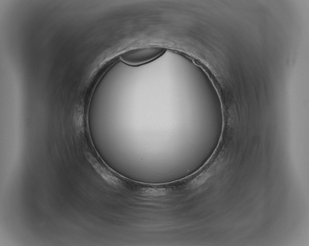 X0000112531499200908241456