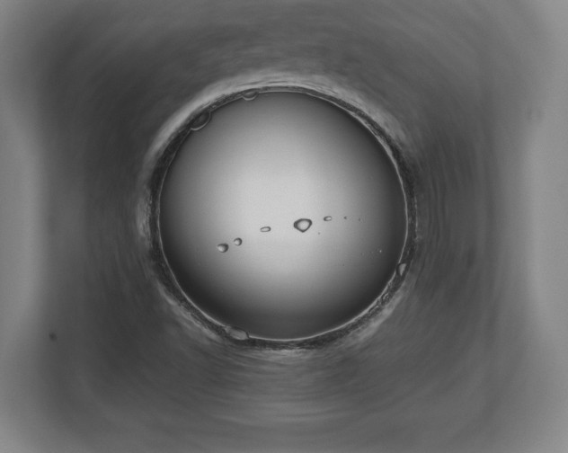 X0000112531502200908241456