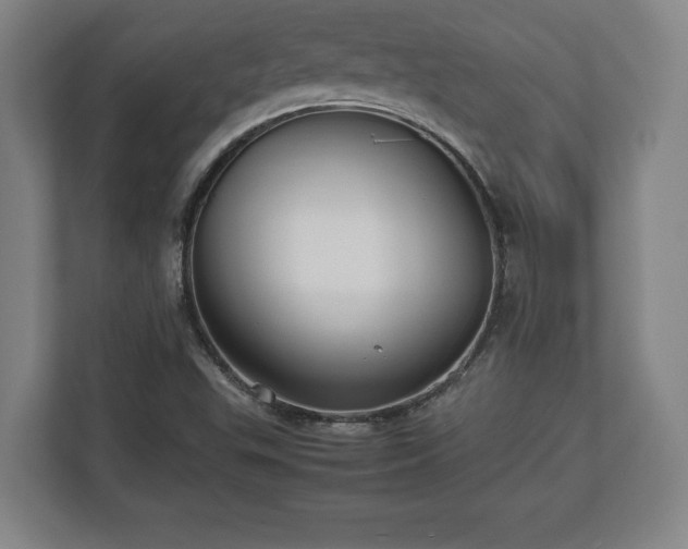X0000112531503200908241456