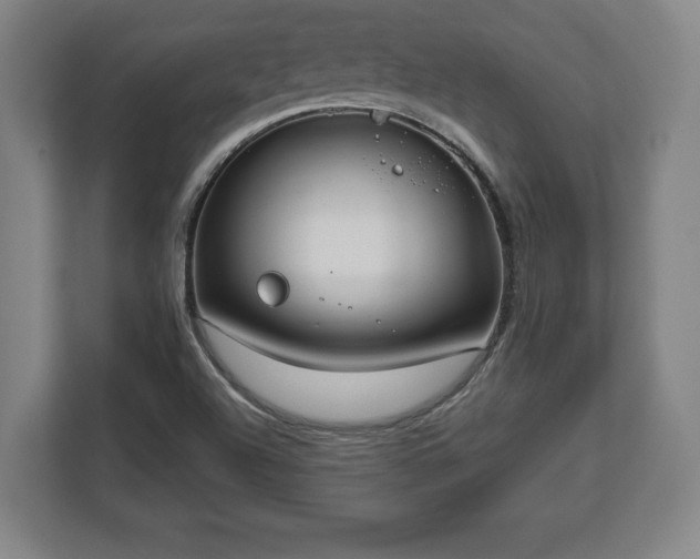X0000112531504200908241456
