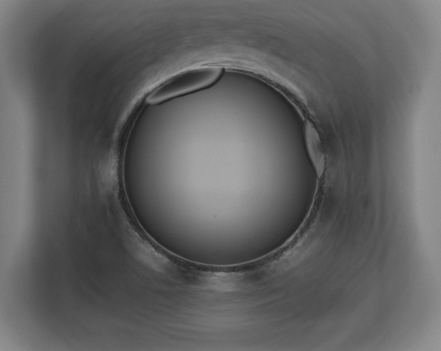 X0000112531506200908241456