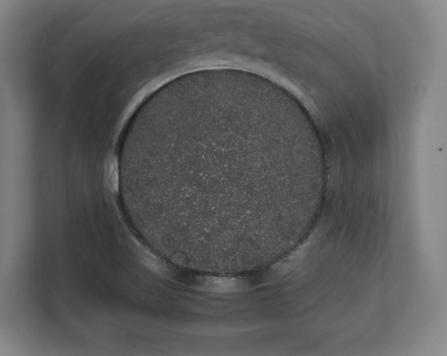 X0000112531509200908241456