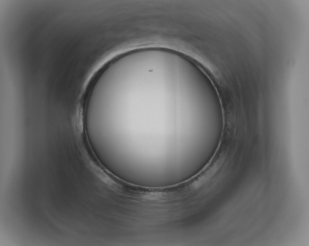 X0000112531510200908241456
