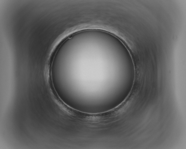 X0000112531511200908241456