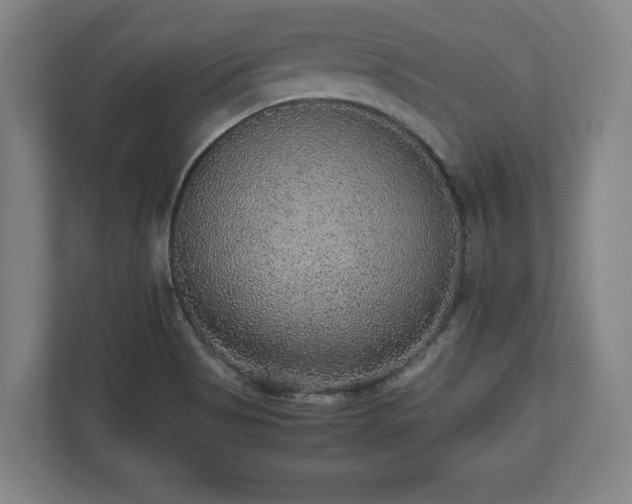 X0000112531513200908241456