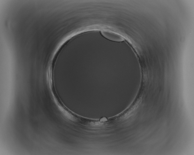 X0000112531515200908241456