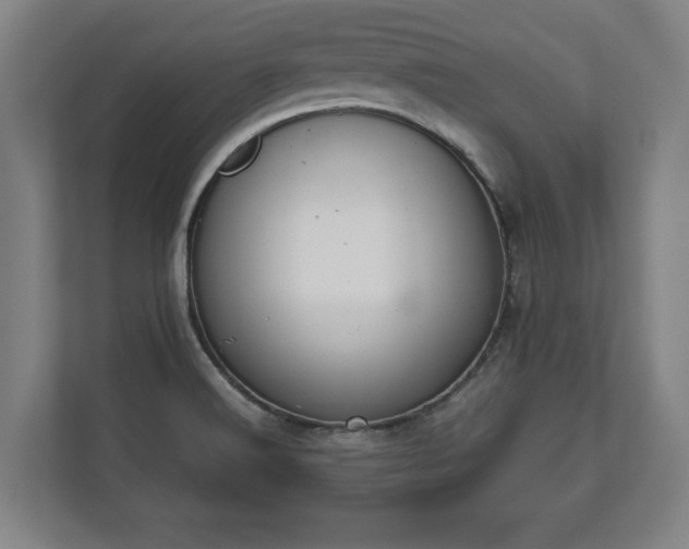 X0000112531516200908241456