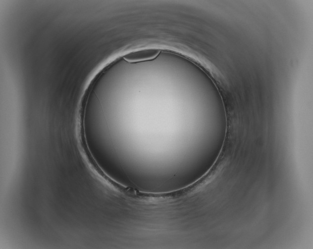 X0000112531518200908241456