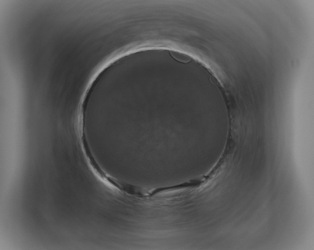 X0000112531519200908241456