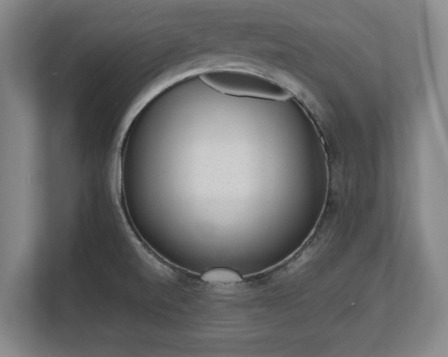 X0000112531520200908241456