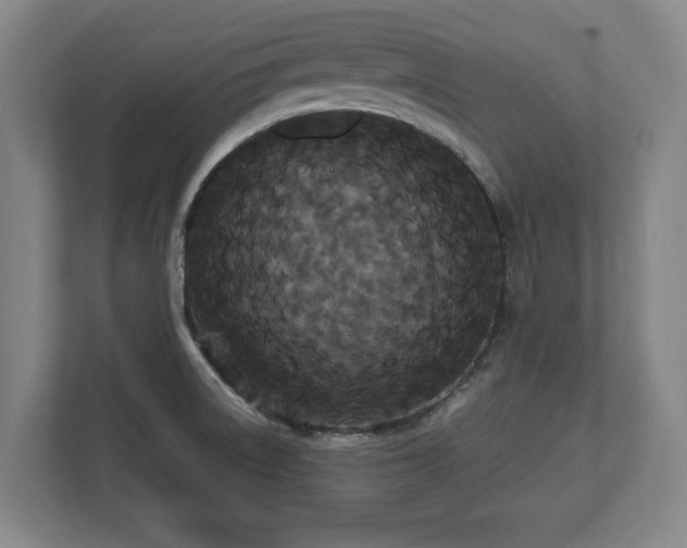 X0000112531522200908241456