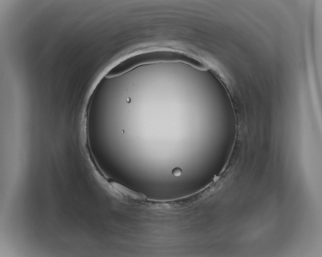 X0000112531524200908241456