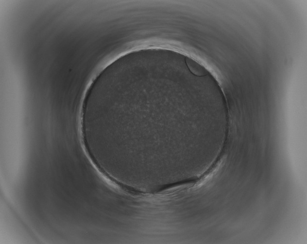 X0000112531525200908241456