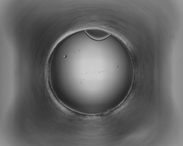 X0000112531526200908241456