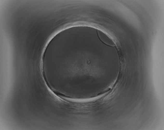 X0000112531527200908241456