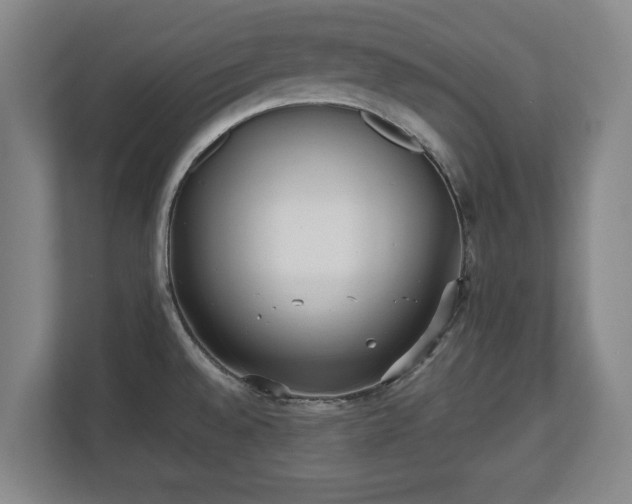 X0000112531528200908241456
