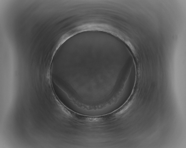 X0000112531529200908241456