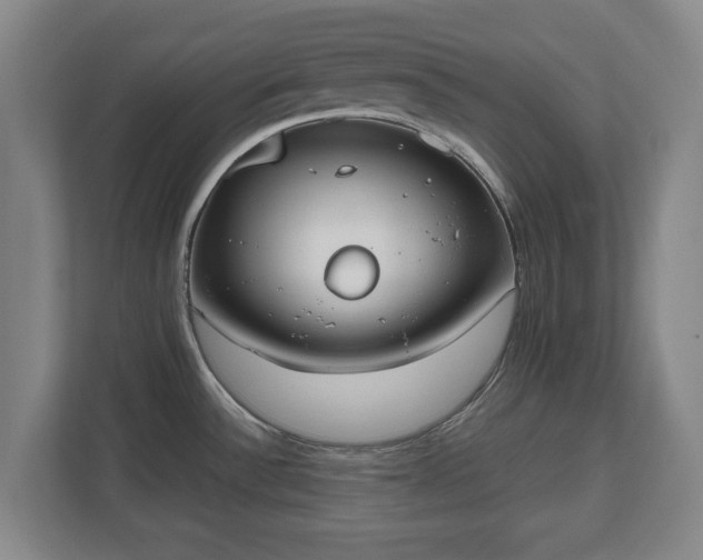 X0000112531532200908241456