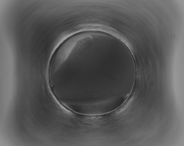 X0000112531533200908241456