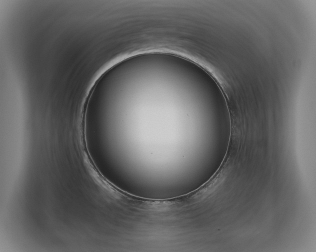 X0000112531534200908241456