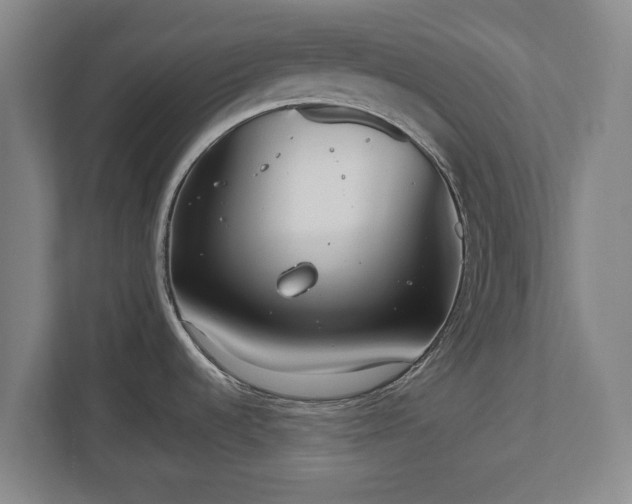 X0000112531536200908241456