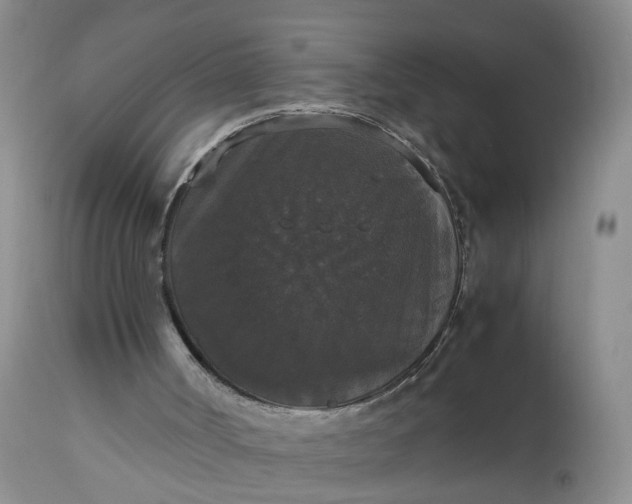 X0000112530002200908311434