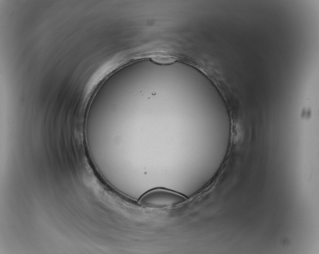 X0000112530004200908311434
