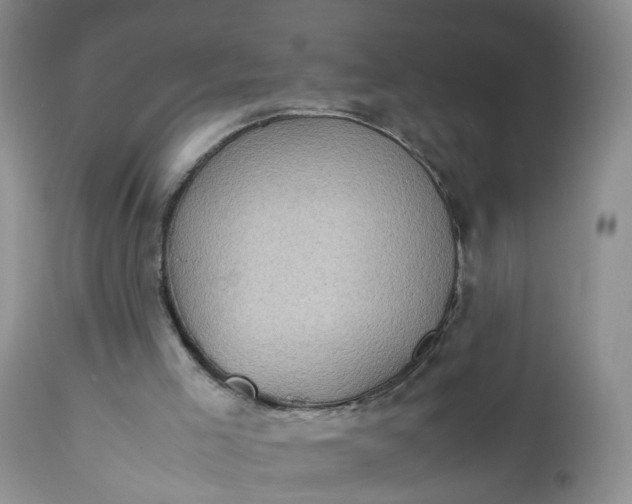 X0000112530005200908311434