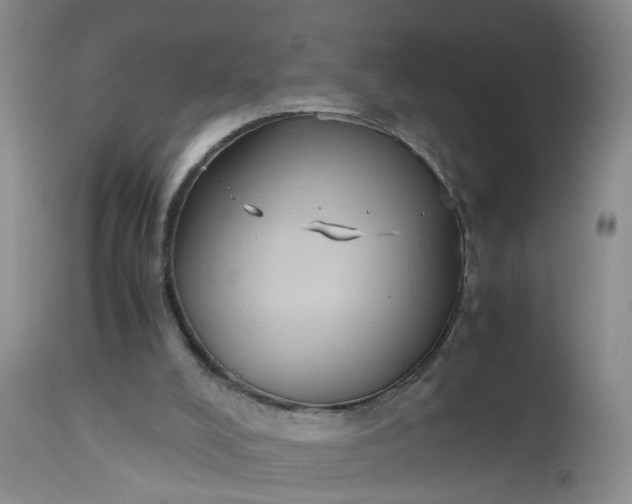 X0000112530008200908311433
