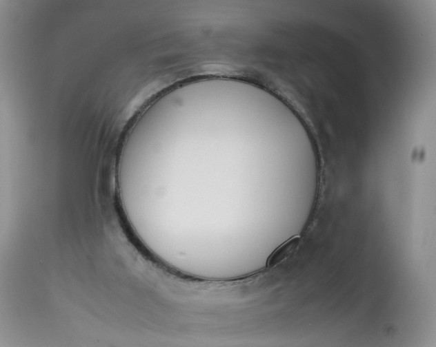 X0000112530011200908311433