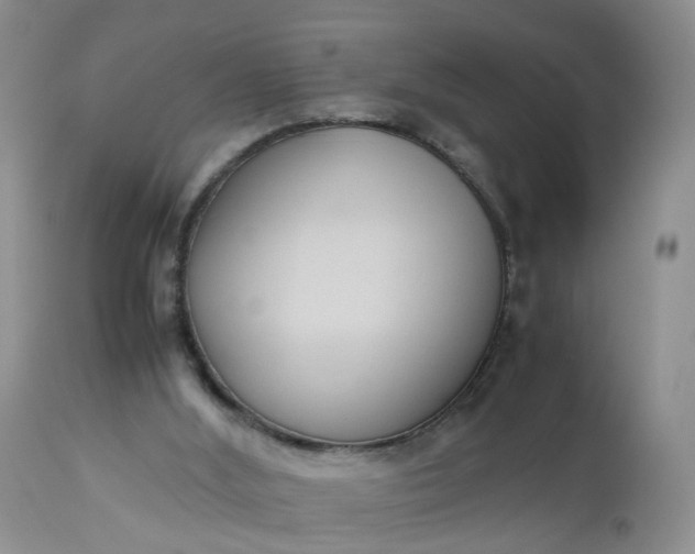 X0000112530012200908311433