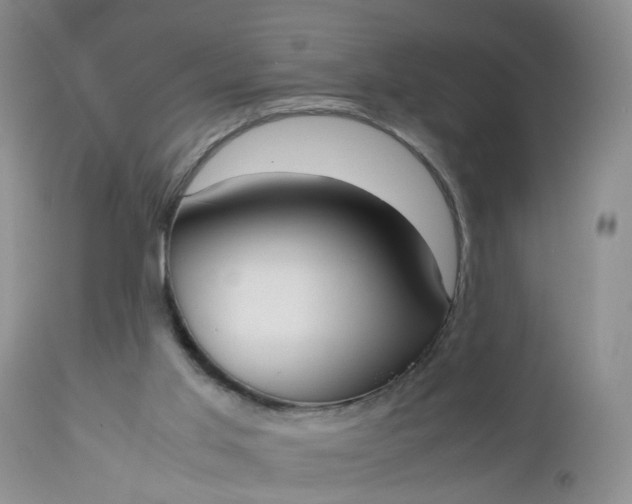 X0000112530013200908311433