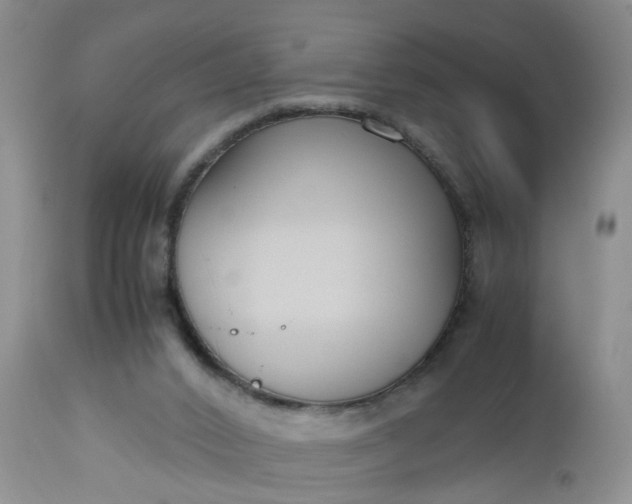 X0000112530016200908311433