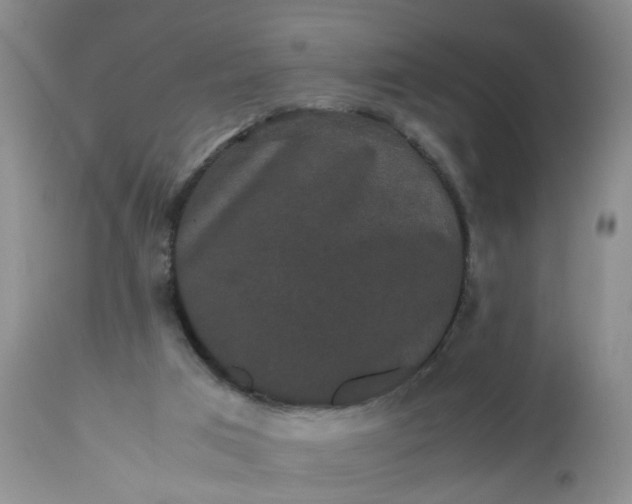 X0000112530017200908311433