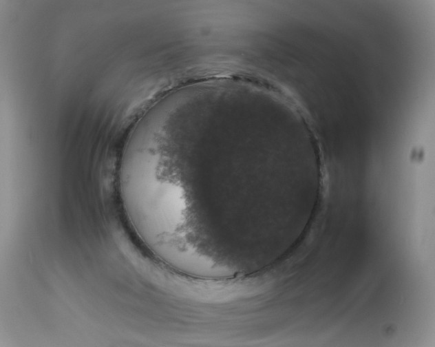 X0000112530018200908311433