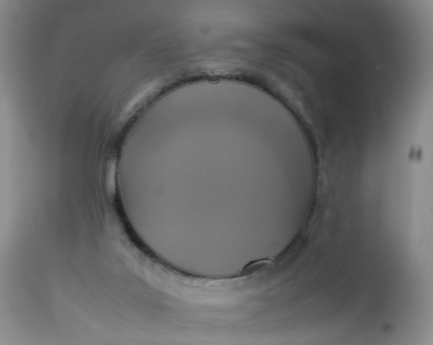 X0000112530019200908311433