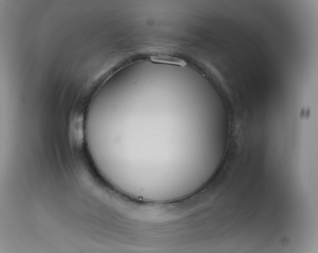 X0000112530020200908311433